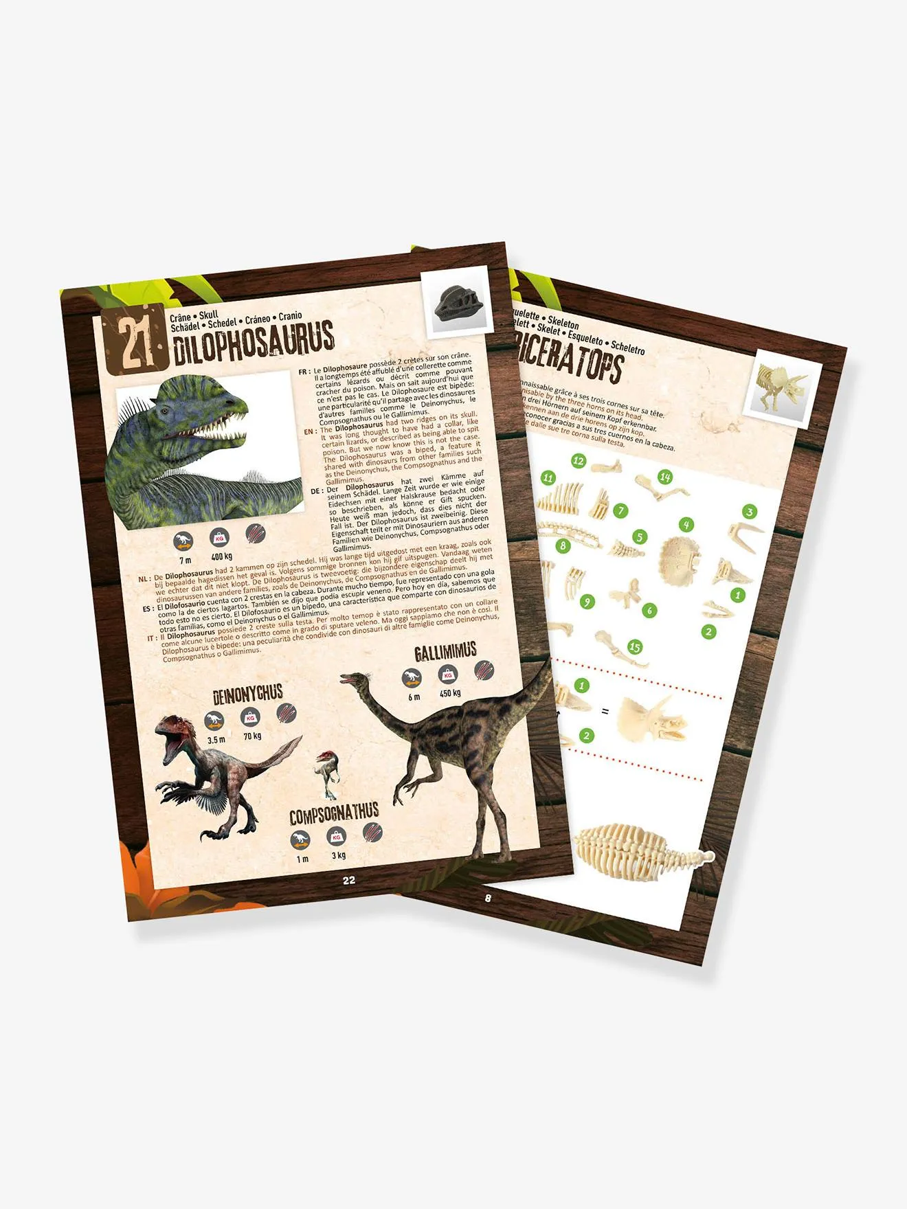 DINO SURPRISE BOX  TAF TOYS